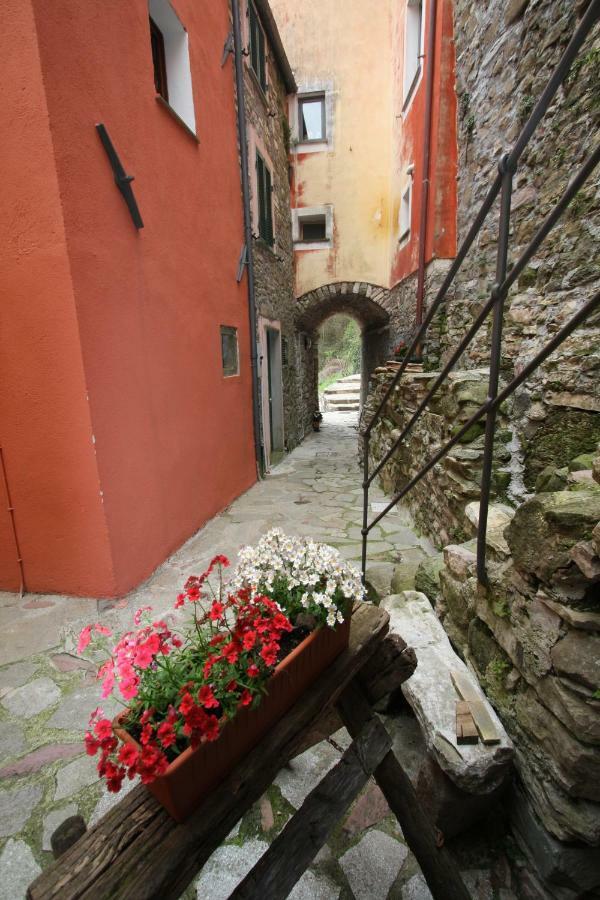 Borgo Di Codeglia - Country Rooms ริคคอ เดล โกลโฟ ดิ สเปเซีย ภายนอก รูปภาพ