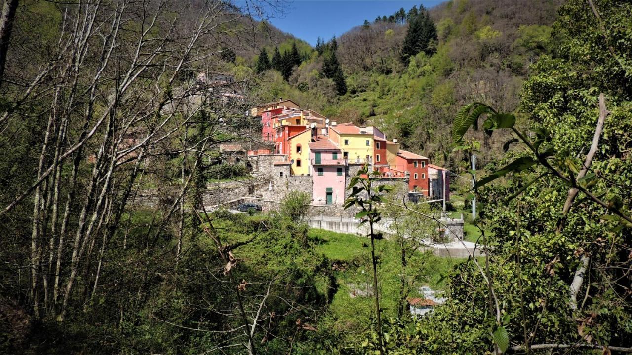 Borgo Di Codeglia - Country Rooms ริคคอ เดล โกลโฟ ดิ สเปเซีย ภายนอก รูปภาพ