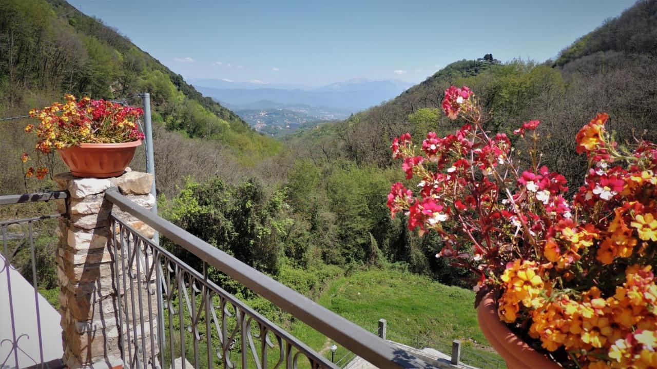 Borgo Di Codeglia - Country Rooms ริคคอ เดล โกลโฟ ดิ สเปเซีย ภายนอก รูปภาพ